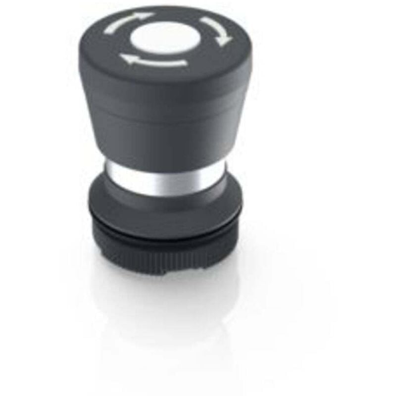 Rafi - 1.30.276.001/2200 x 22 fs Bouton-poussoir coup de poing à accrochage (l x l x h) 29.8 x 29.8 x 42.1 mm 1 pc(s)