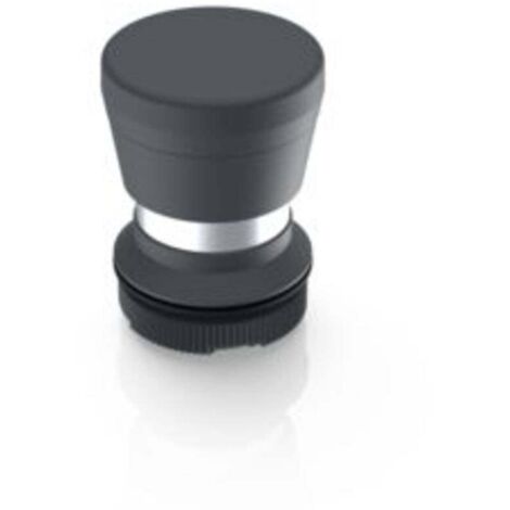RAFI 1.30.276.701/0000 RAFIX 22 FS Bouton-poussoir coup de poing à rappel (L x l x H) 29.8 x 29.8 x 42.1 mm 1 pc(s) V303903