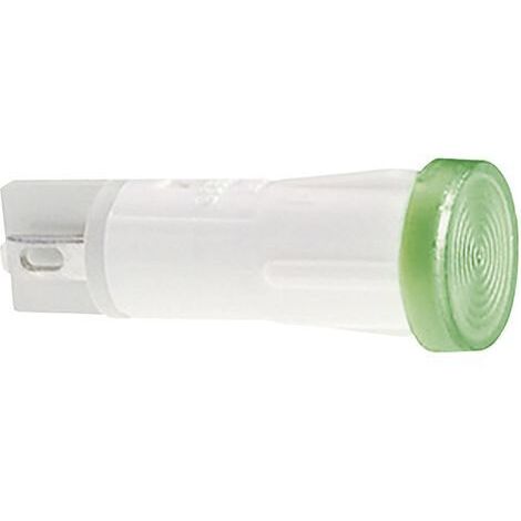 RAFI 1.69.525.221/1000 Voyant standard avec ampoule clair 1 pc(s) D58784