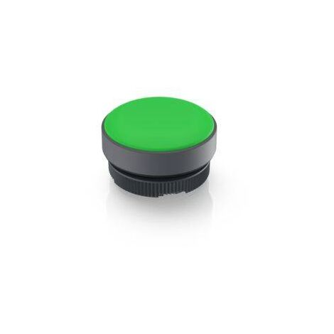 RAFI 1.74.508.001/2500 Indicateur lumineux vert 1 pc(s) V303703