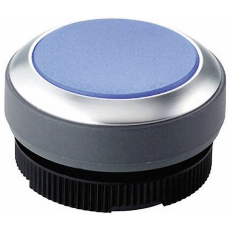 rafi RAFIX 22 FS+ pulsante rotondo blu IP65