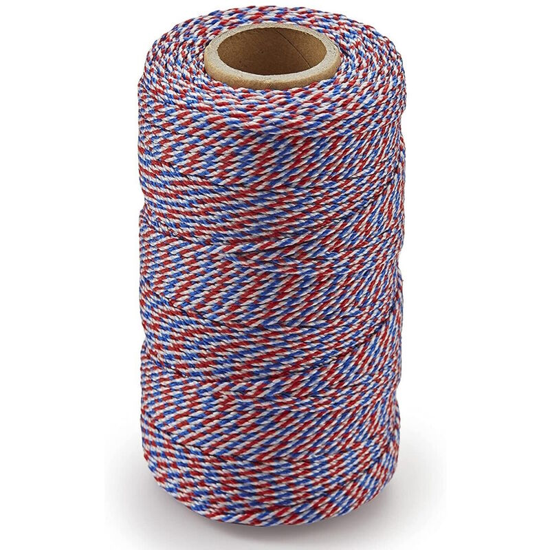 Ragni - 100m 328 Red,White,Blue Braided Nylon Mason Brick Block Laying Line 100UK RBL100UK