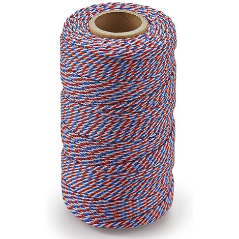 Ragni 100m 328 Red,White,Blue Braided Nylon Mason Brick Block Laying Line 100UK RBL100UK