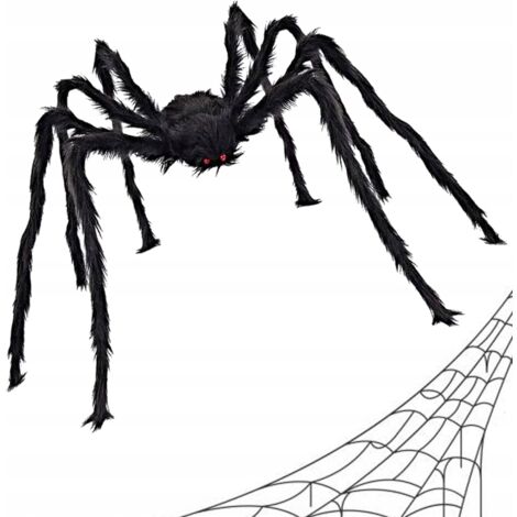 RAGNO 90CM (200) GABA