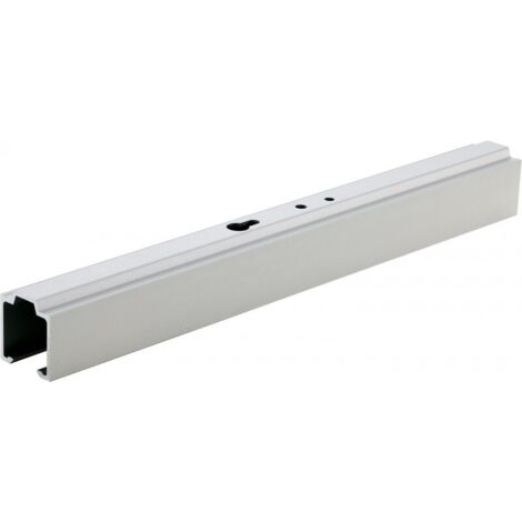 Rail Nr. 60 2500 mm, EV1