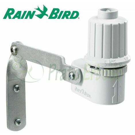 Rain Bird – RSDBEX – Capteur de pluie pour irrigation – Alimentation électrique 24V – Filetage 1" – Pression 0.5 à 3 bars