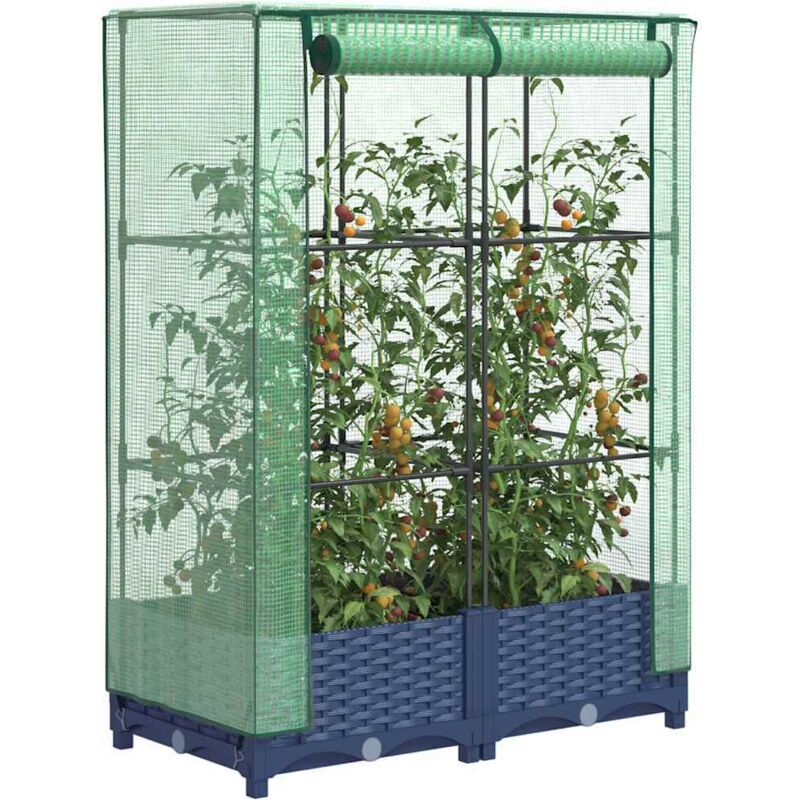 Vidaxl - Raised Bed With Greenhouse Cover Rattan Look 80x40x123 Cm