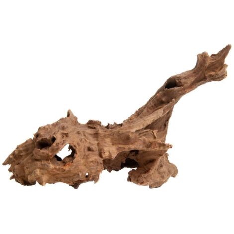 Raíz decorativa para acuario, madera natural dentada, 25-35 cm.