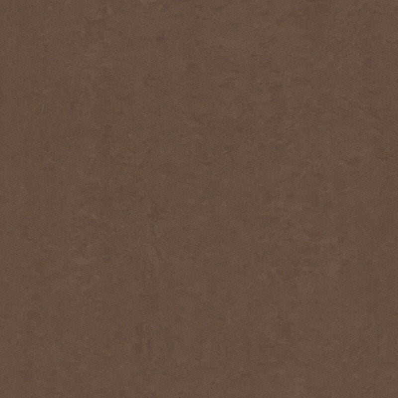 RAK Lounge Mocca Polished 60cm x 60cm Porcelain Wall and Floor Tile - A06GLOUN-662.X0P