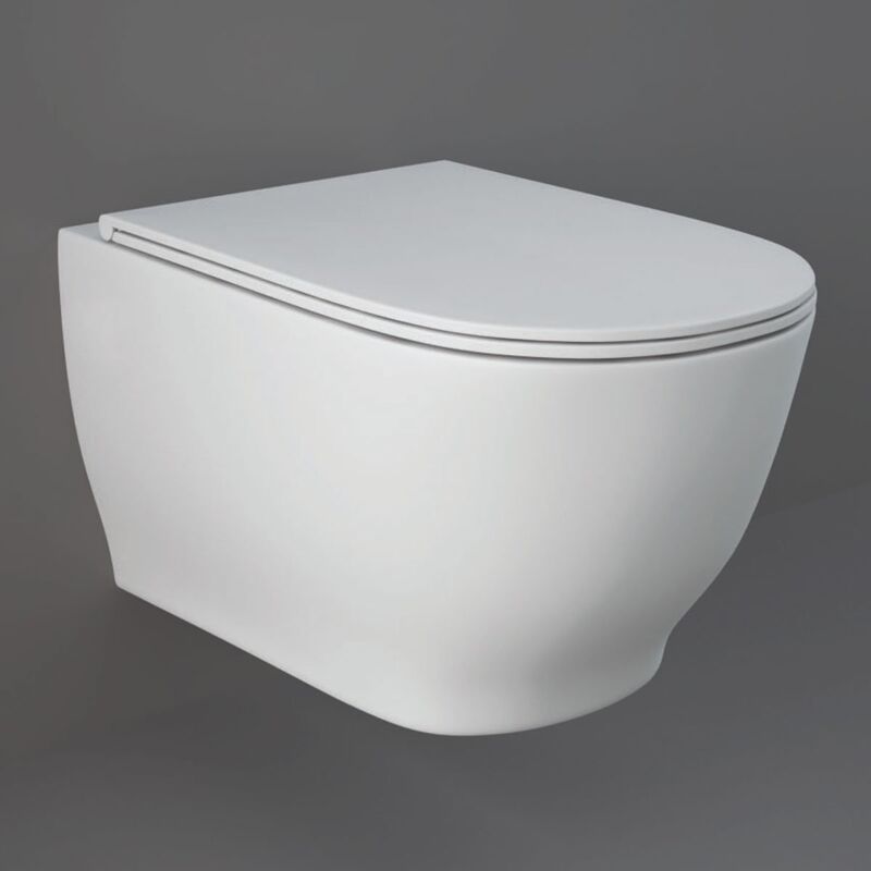RAK Moon Rimless Wall Hung Toilet Hidden Fixations 560mm Projection - Soft Close Seat