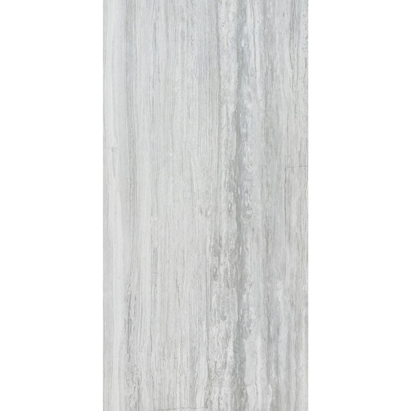 Rak Tech-Marble Grey Silk Polished 60cm x 120cm Porcelain Wall and Floor Tile - A12GTCMB-GSK.X0X5P - Grey