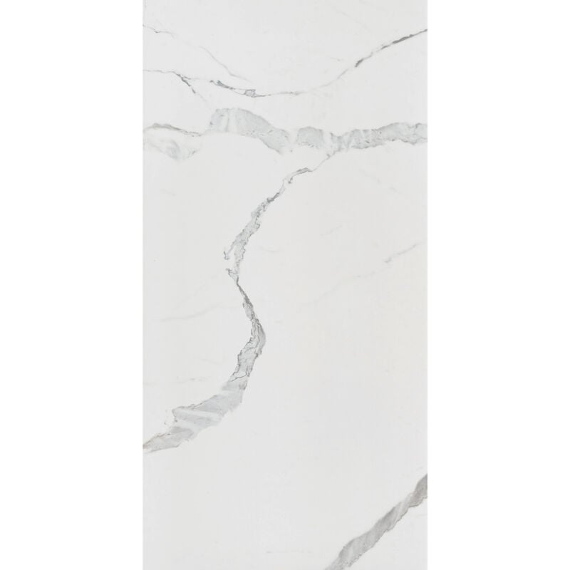 RAK Tech-Marble White Venato Honed 60cm x 120cm Porcelain Wall and Floor Tile - A12GTCMB-WVT.O0X5P