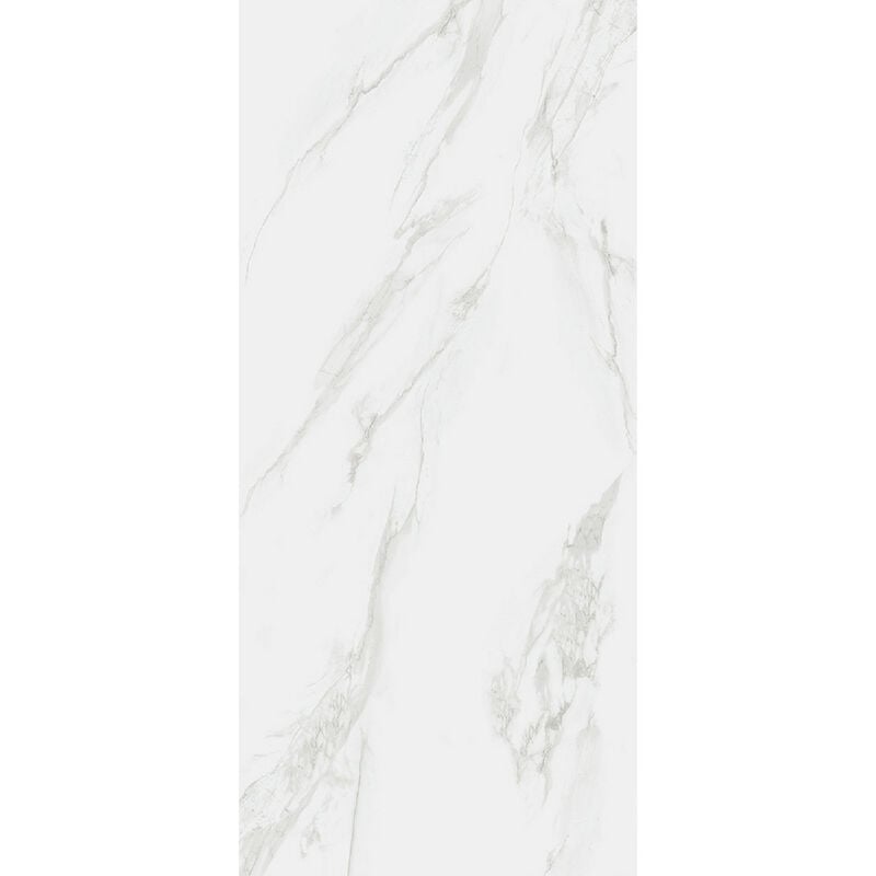 RAK Classic Carrara Grey Matt 60cm x 120cm Porcelain Wall and Floor Tile - A12GZCRR-GRY-M0X5R