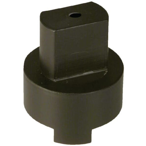Rallonge ARAG 45300400561