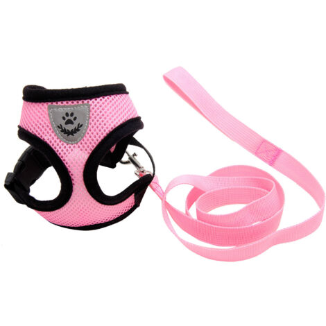 Rallonge de ceinture - 23CM - 2 pièces - Extra solide - Extension