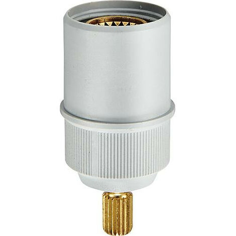 Rallonge de broche Grohe pour vanne encastré, chromé 45204000