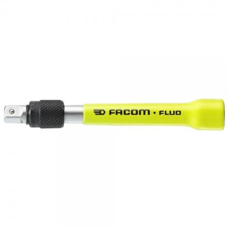 Rallonge Facom 1/4'', 100 mm ( Prix pour 1 )