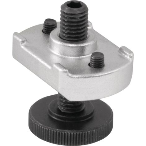 Rallonge support Nr.6312S M16 Gewinde-L.55mm AMF