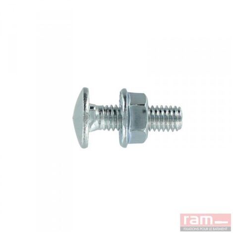 Ram 93426 BTE P 100 BOULONS TRCC 6x16