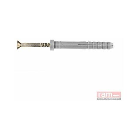 RAM - CHEVILLE RAMSPEED TÊTE PLATE AVEC CLOU-VIS TF, 6MM X 40MM, BOÎTE DE 100 76164