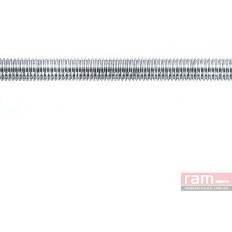RAM - TIGE FILETÉES ACIER ZINGUÉ, 6MM, GRIS 93706