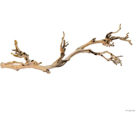 Ramas de vid Exo Terra Forest Branch