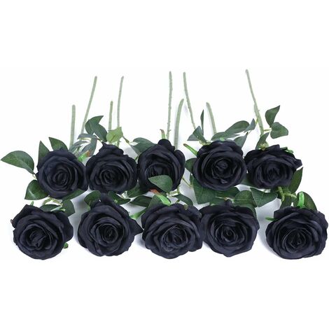 GROOFOO 40 Tallos Flores secas naturales Flores secas de Craspedia