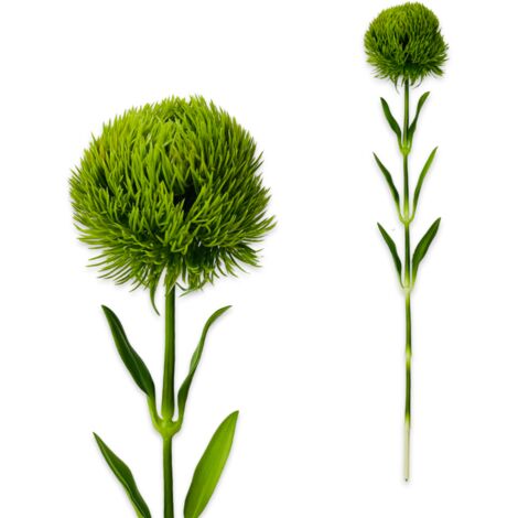 Ramo di crisantemo vero tocco 51 cm verde