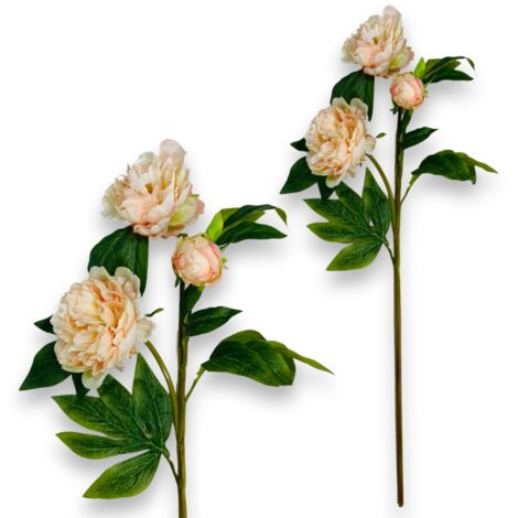 Ramo di gomma - Peonia beige 80 cm