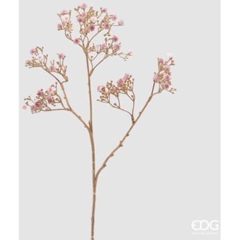 Ramo Gypsophila Stelo Oro H.68 Rosa