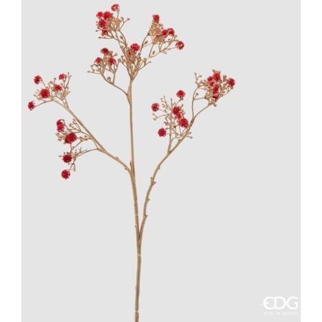 Ramo Gypsophila Stelo Oro H.68 Rosso