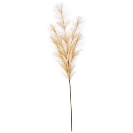 Ramo nelly Bizzotto pampas cipria h.100cm