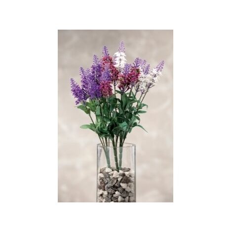 RAMOSC LAVANDA ASS3COL CM38