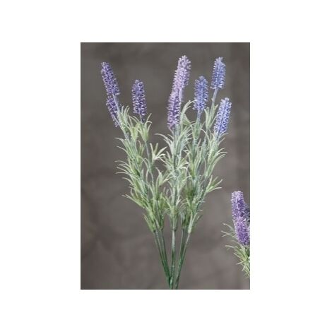 RAMOSC LAVANDA ASS3COL CM52