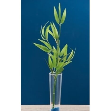 RAMOSCELLO BAMBOO X DECORAZ CM100