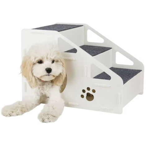 Rampe d'accès pour chiens