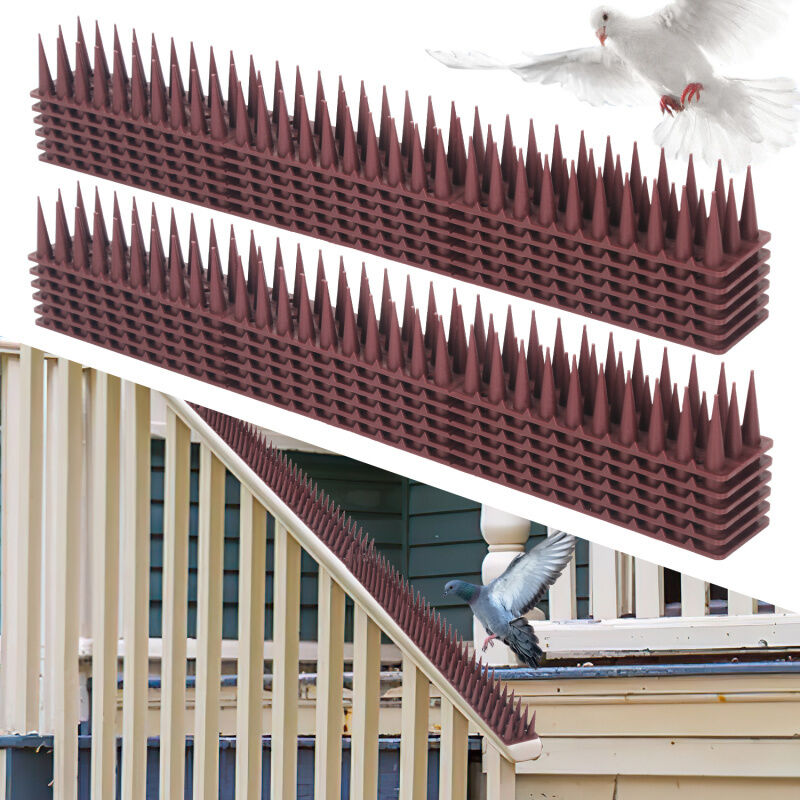 Randaco - einfeben 36x Pigeon Défense Oiseau Dissuasion Oiseau Bird Pics Oiseau Défense Oiseau Pics Pigeon