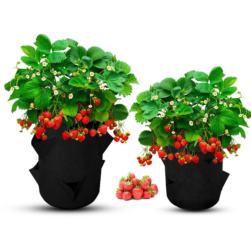 2x Sac pour plantes Sac pour plantes 10 gallons Sac pour plantes Panier pour plantes Pomme de terre Tomate Fraise - Randaco