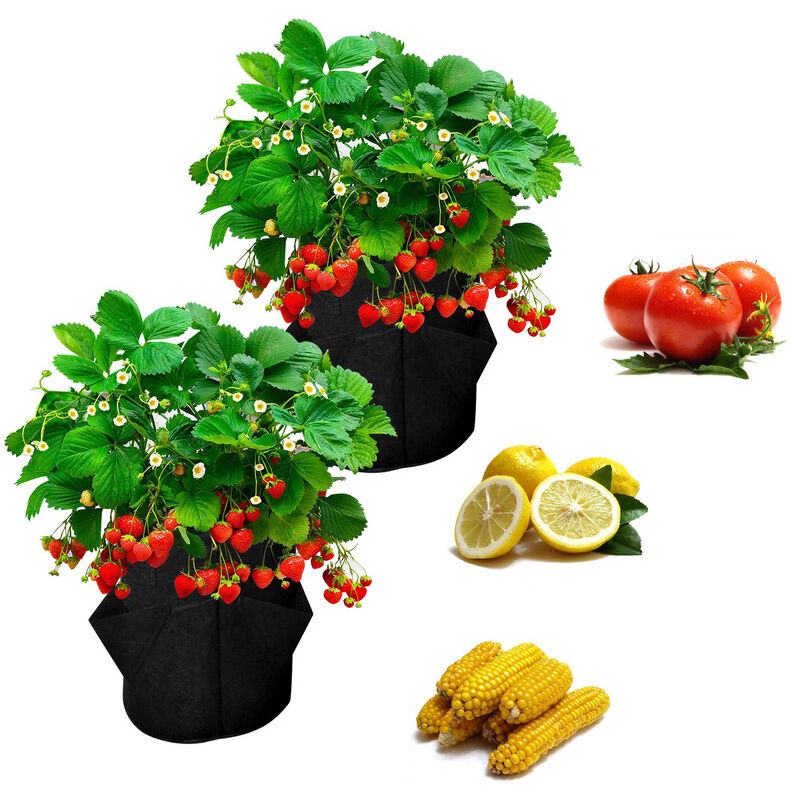 2x Sac pour plantes Sac pour plantes 5 gallons Sac pour plantes Panier pour plantes Pomme de terre Tomate Fraise - Randaco