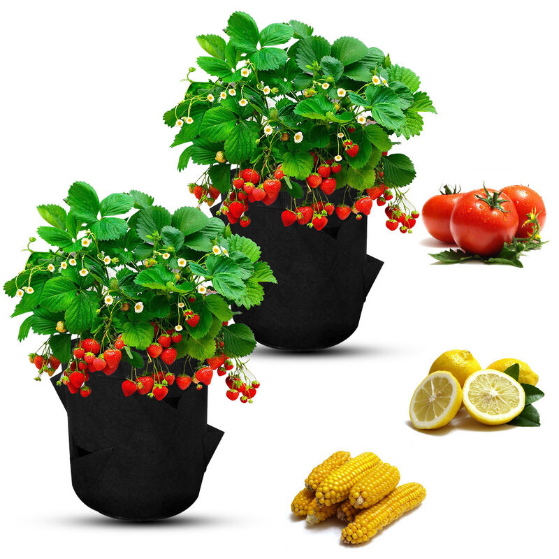 Randaco - 2x Sac pour plantes Sac pour plantes 7 gallons Sac pour plantes Panier pour plantes Pomme de terre Tomate Fraise