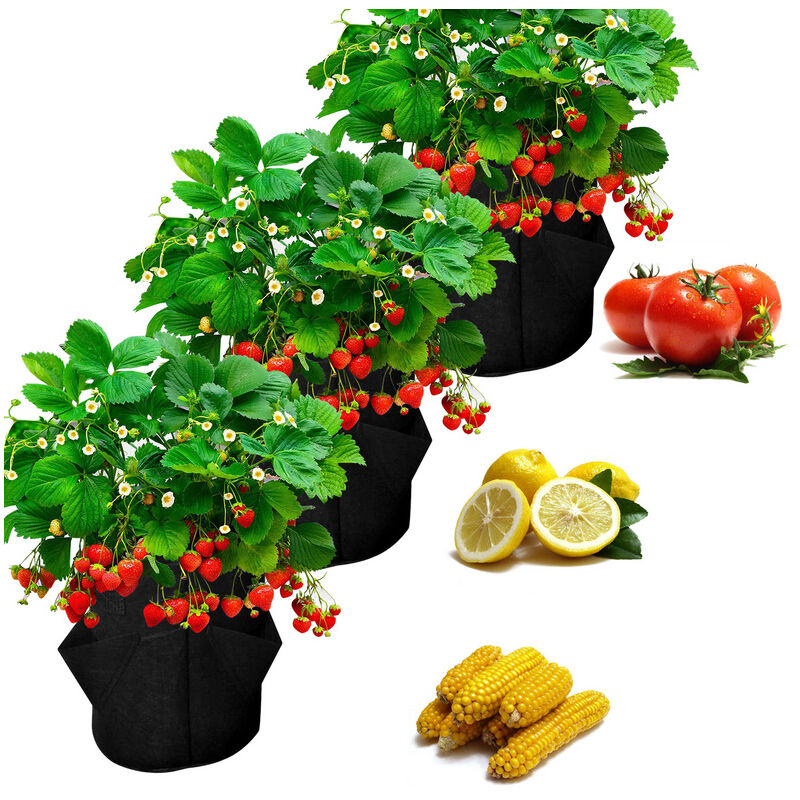 3x Sac pour plantes Sac pour plantes 10 gallons Sac pour plantes Panier pour plantes Pomme de terre Tomate Fraise - Randaco