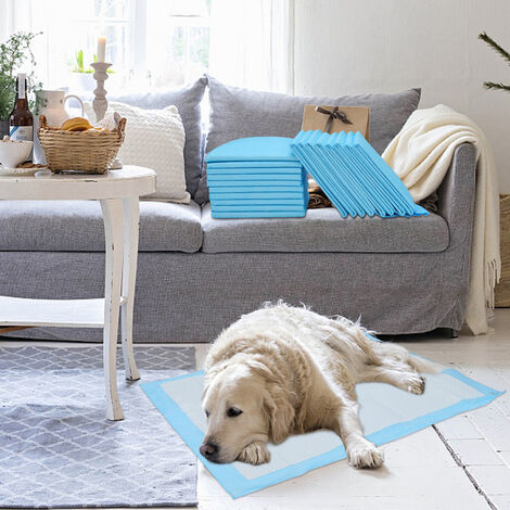 Tapis super absorbant Dirty Paws Bleu - Sherbrooke Canin