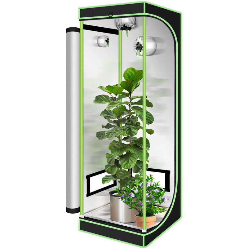 Randaco 40x40x120cm Tente de culture pour plantes Tente de culture Serre Boîte Jardin Culture Légumes Herbes Armoire de culture