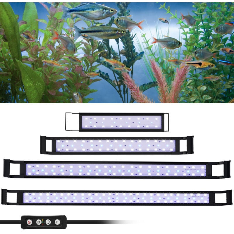 SWANEW 10W Aquarium LED avec minuterie éclairage coquillages, 30-50cm