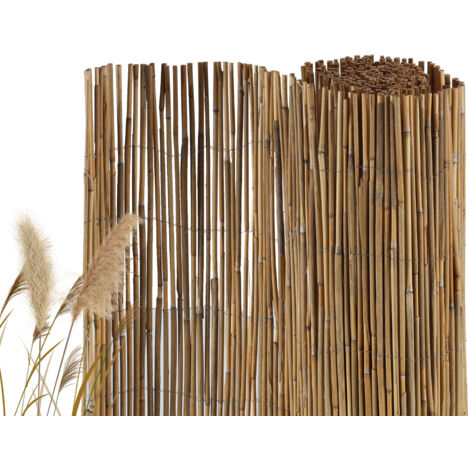 Randaco Cañizo de caña 100 × 600 cm, ocultación natural para jardín