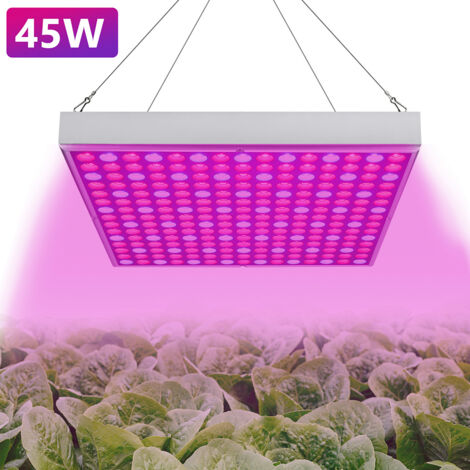 Lampada per piante da interno a LED con morsetto e timer