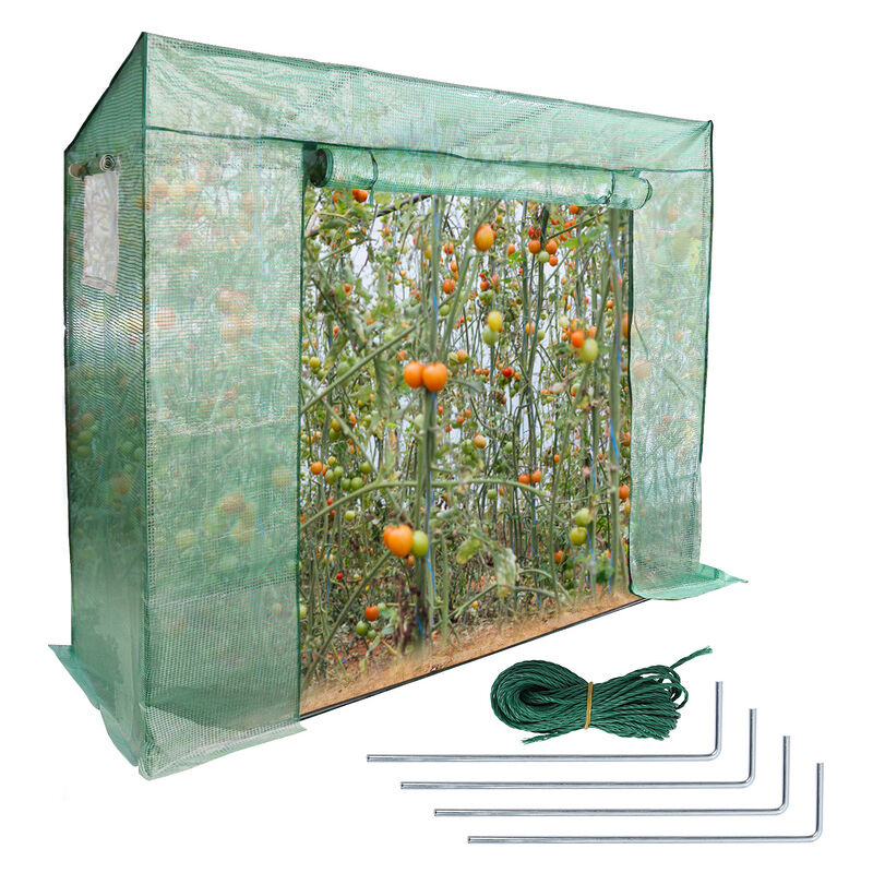 EINFEBEN Serre de jardin avec bâche polyéthylène 200x170x80cm serre 1,6 m²,2 fenêtres,imperméable,résistante à la Pluie et à la Neige,Vert - Vert