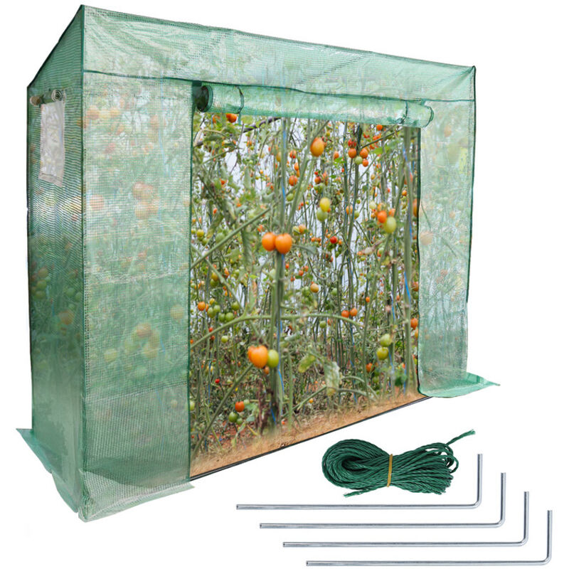 EINFEBEN Serre de jardin avec bâche polyéthylène 200x170x80cm serre 1,6 m²,2 fenêtres,imperméable,résistante à la Pluie et à la Neige,Vert
