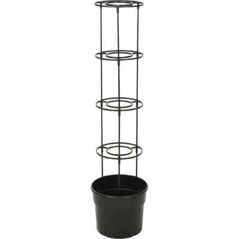 Rankentopf mit Spalier, H. 115 cm