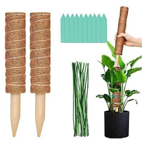 Rankhilfe für Zimmerpflanzen, Monstera-Kokos-Pflanzenstütze, 50 cm Pflanzenstützen, Rankhilfe für Zimmerpflanzen, Moos-Pflanzenstütze, 2er-Set